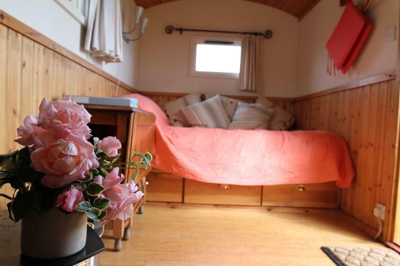 Shepherdshuts-Southeast Ξενοδοχείο Άσφορντ Εξωτερικό φωτογραφία